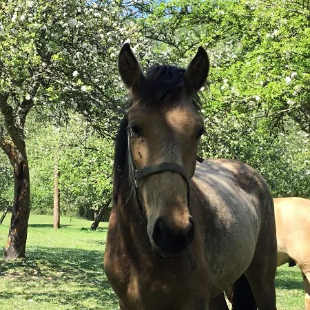 Le Grand Clos De Saint Martin Affittacamere