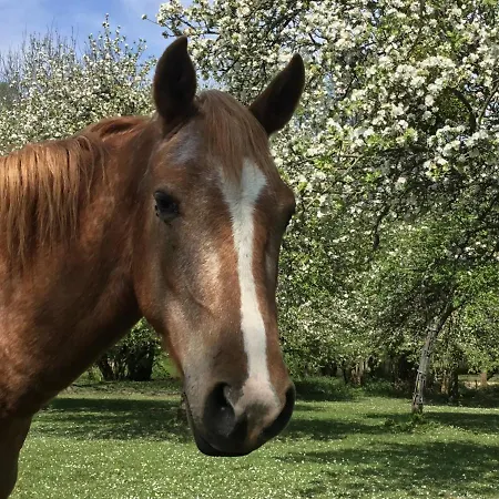 Le Grand Clos De Saint Martin Affittacamere