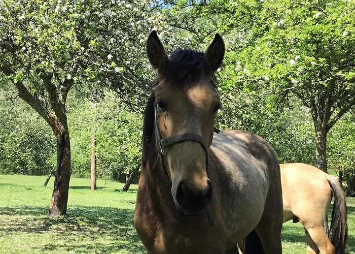 Le Grand Clos De Saint Martin Gasthuis
